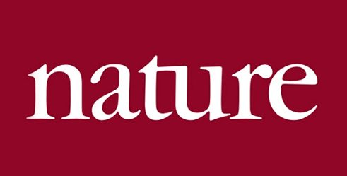 比表面积测试仪 | 多孔材料比表面积与孔隙率研究 | 材料分析