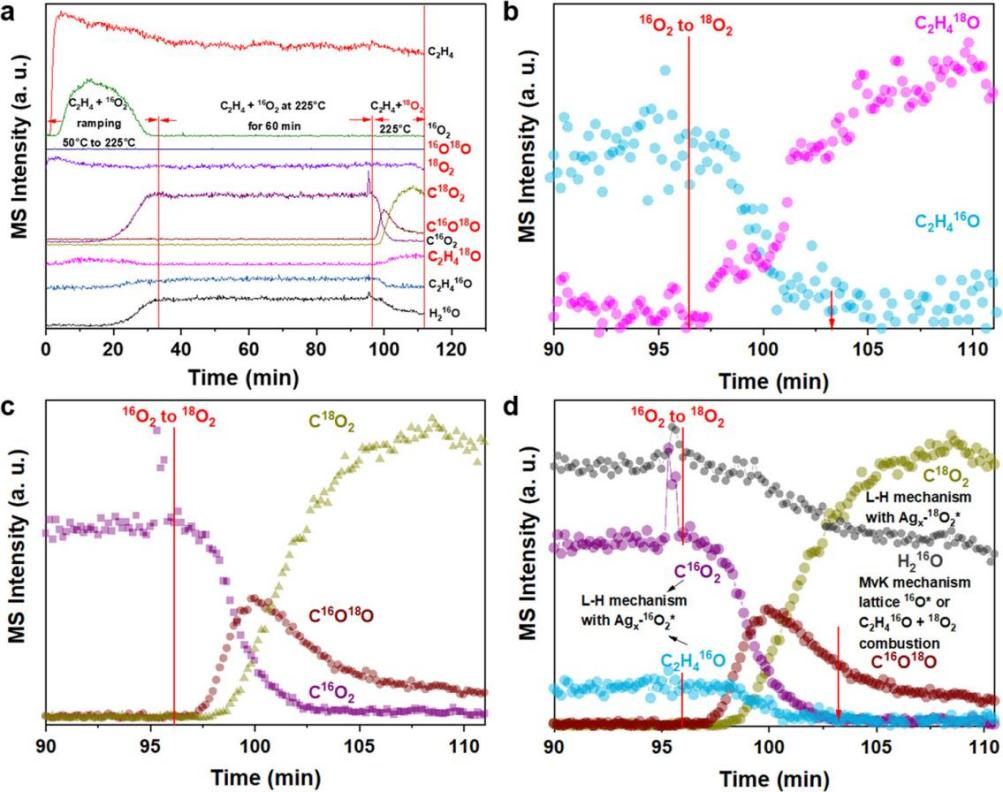 从“瞬变”探“机理”：SSITKA 技术赋能催化反应深度研究